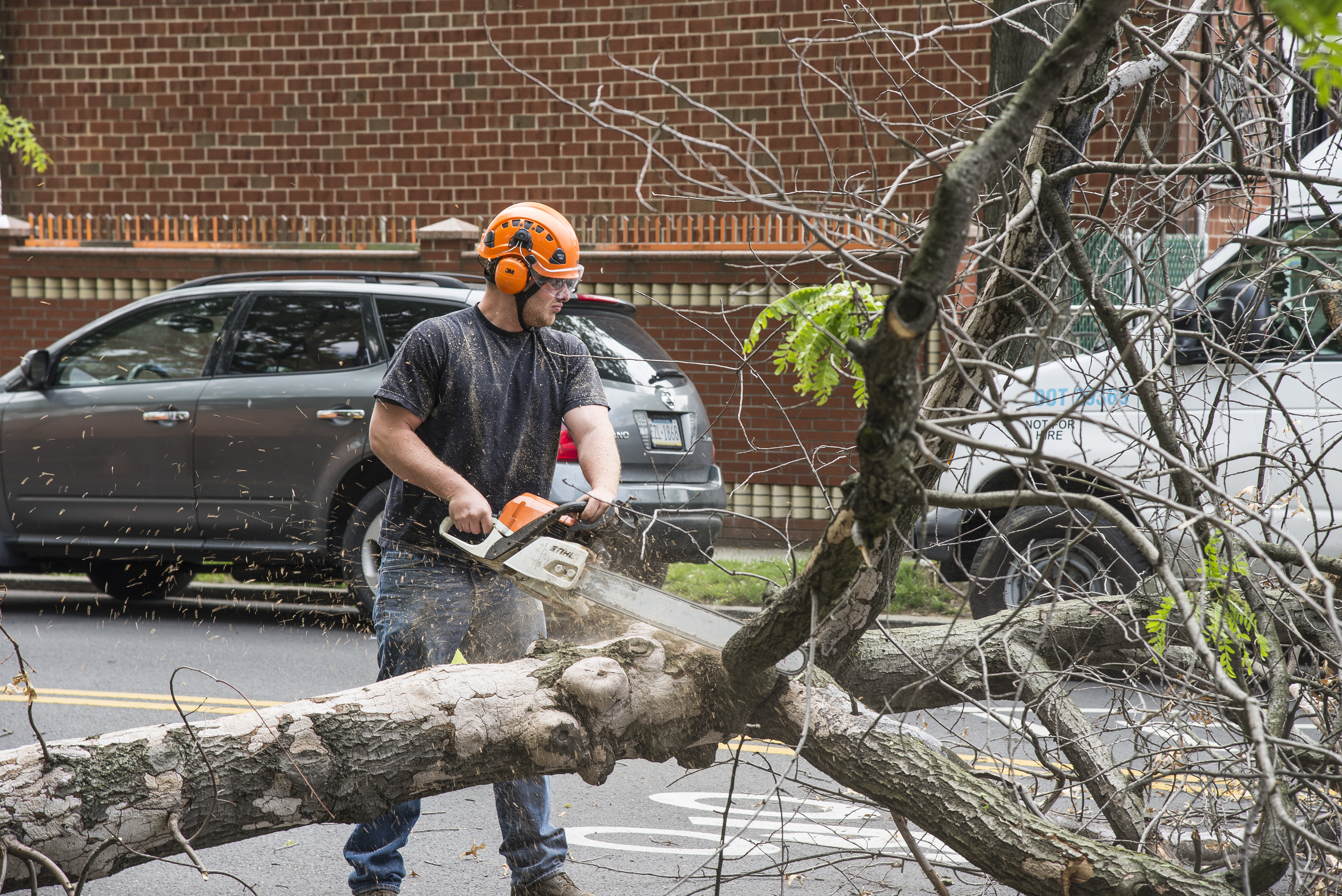 Climbers and Pruners Win Jobs