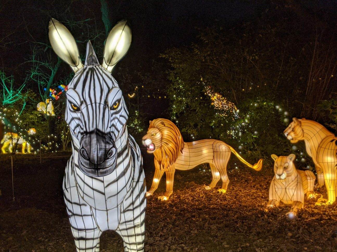 Bronx Zoo Holiday Lights Display